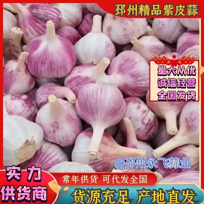 邳州大蒜：传统与现代交织的美味篇章