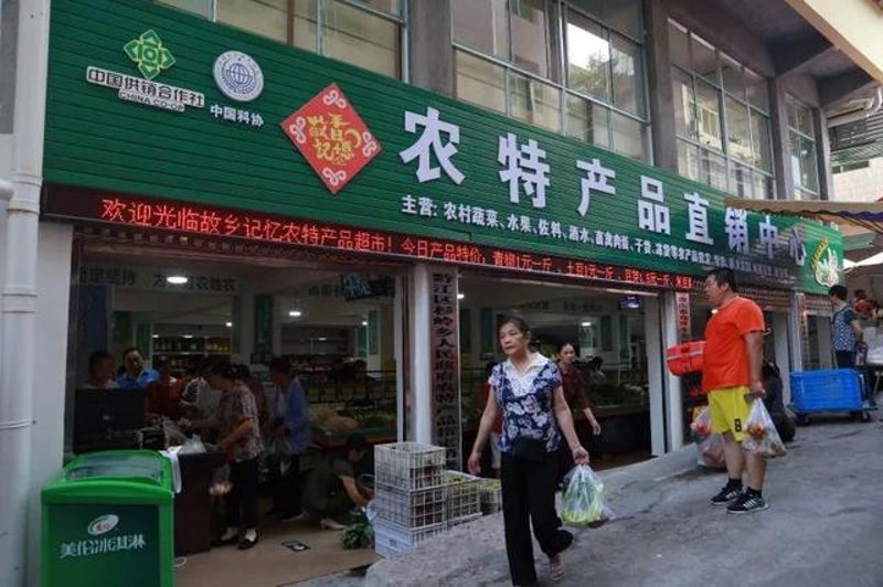 邳州银杏之光：传承千年古韵的独特魅力