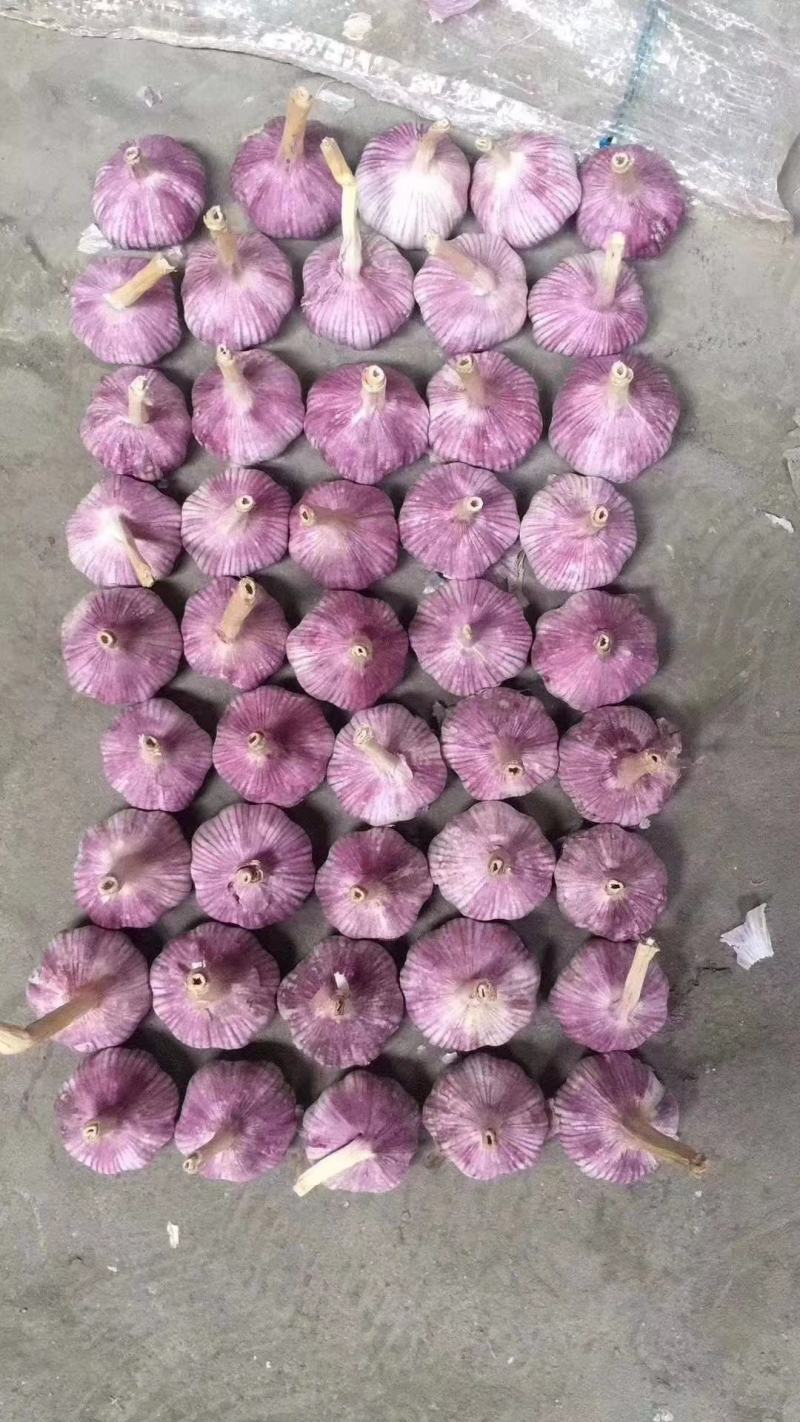 大蒜批发市场的风云变幻