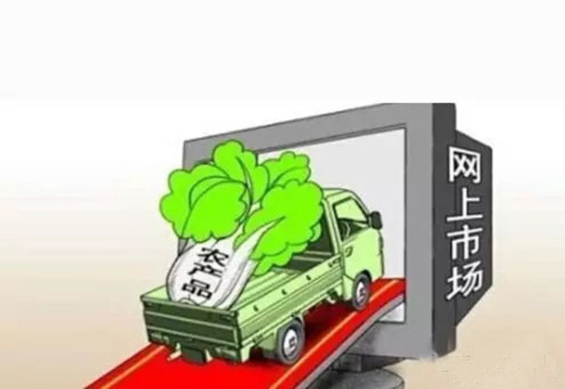 邳州大蒜:种植行业的绿色名片