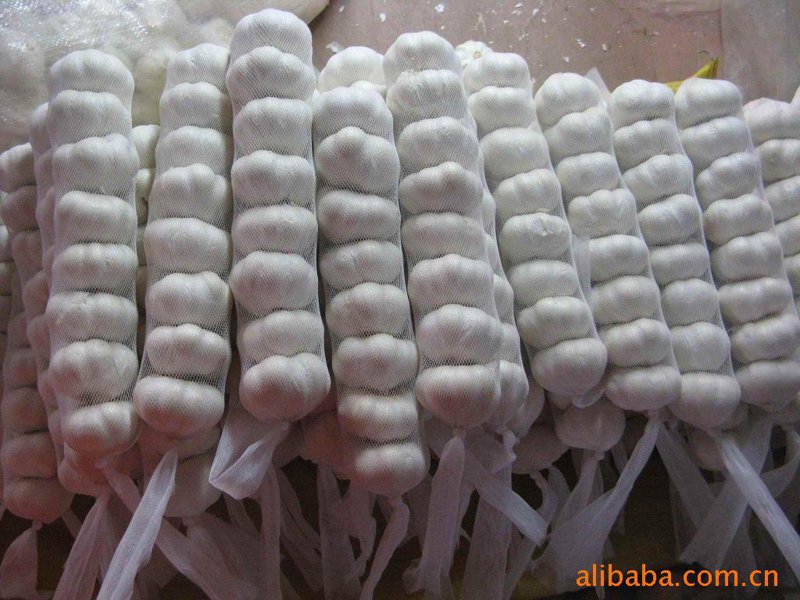 如何挑选上等邳州大蒜,守护餐桌上的健康美味